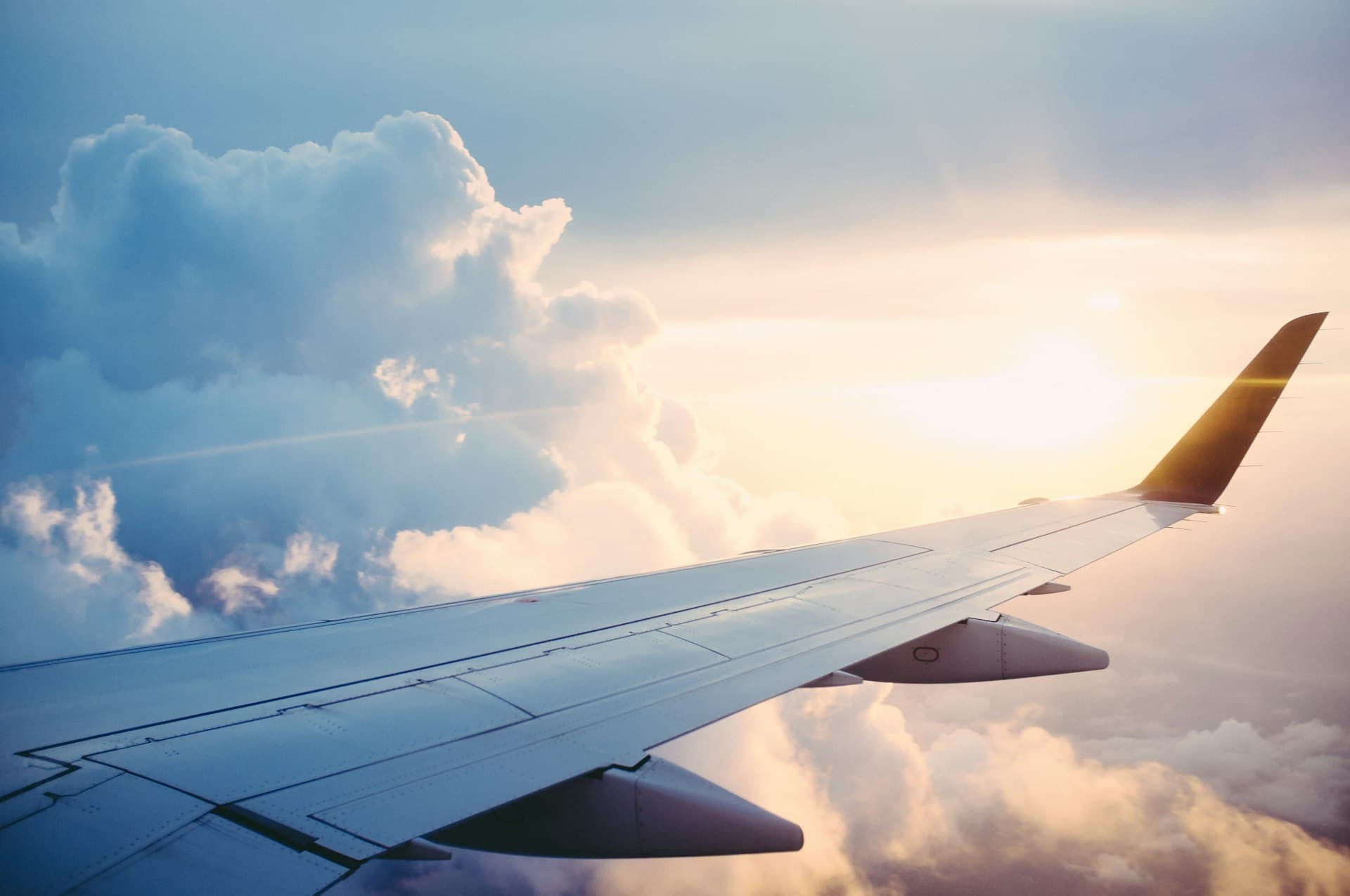 Diaspora Flight
